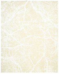Brilliant-9005.jpg